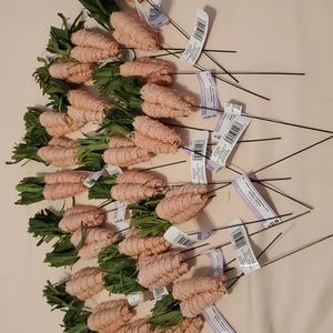 23 Peach-Colored Carrot Picks